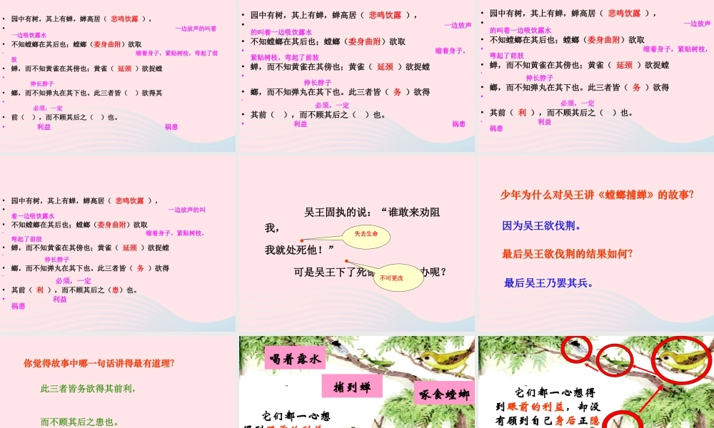 六年级语文上册 6.5 螳螂捕蝉课件1 北师大版-北师大版小学六年级上册语文课件