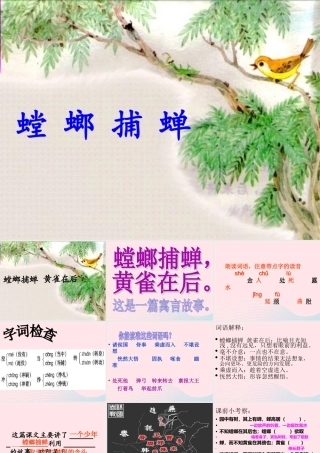 六年级语文上册 6.5 螳螂捕蝉课件1 北师大版-北师大版小学六年级上册语文课件