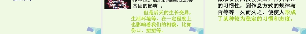 六年级科学上册 4.5 相貌各异的我们课件2 教科版-教科版小学六年级上册自然科学课件