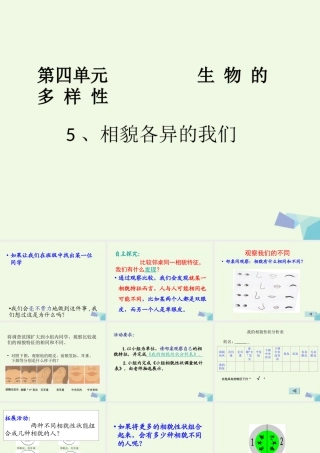 六年级科学上册 4.5 相貌各异的我们课件2 教科版-教科版小学六年级上册自然科学课件