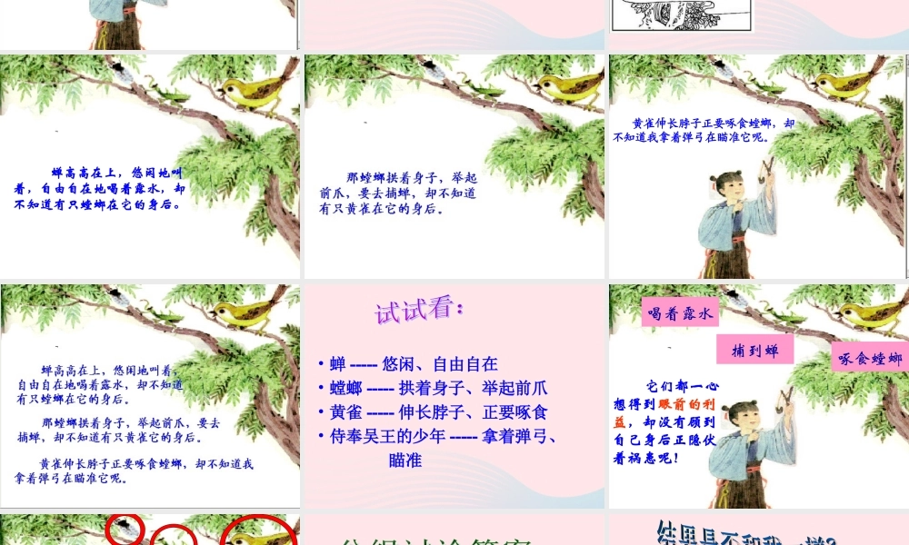 六年级语文上册 6.5 螳螂捕蝉课件2 北师大版-北师大版小学六年级上册语文课件