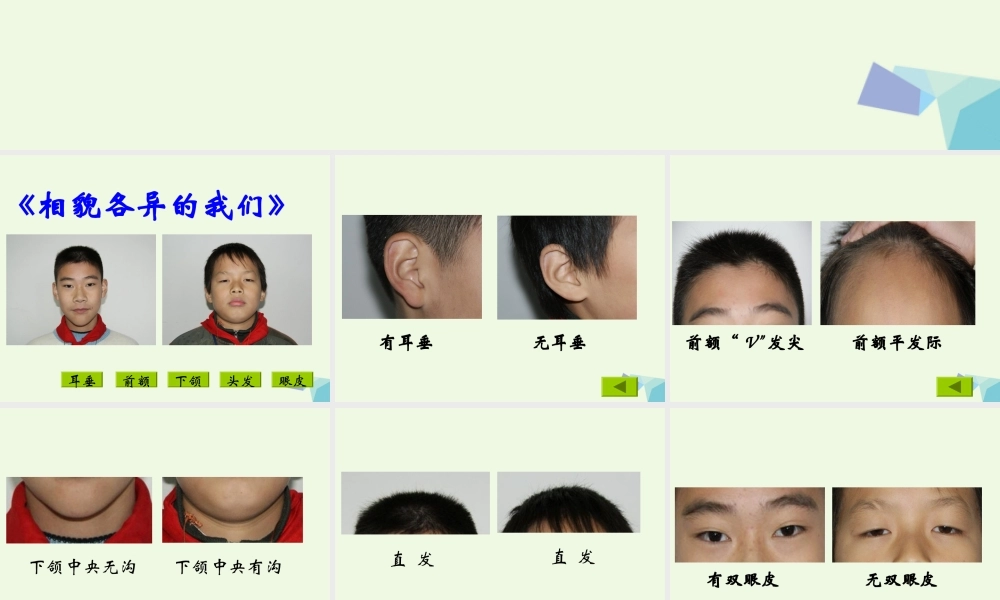 六年级科学上册 4.5 相貌各异的我们课件3 教科版-教科版小学六年级上册自然科学课件