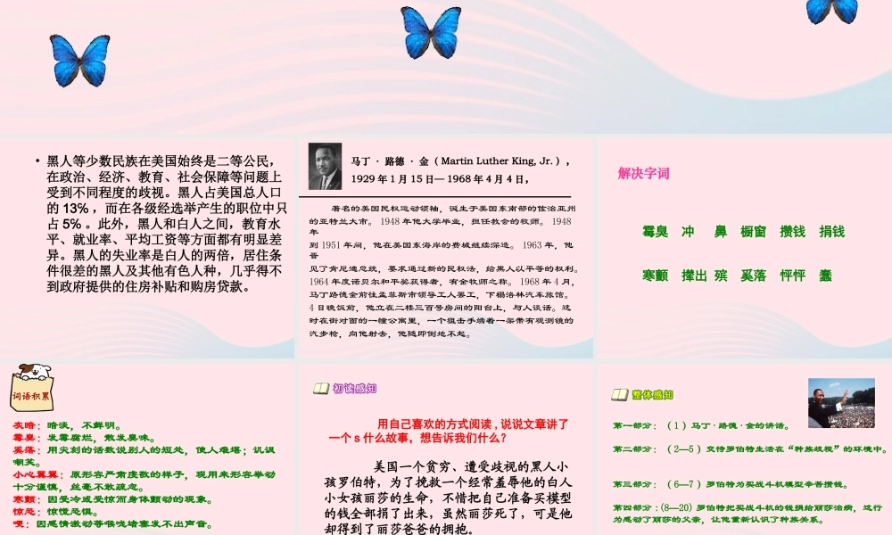 六年级语文上册 7.2 黑孩子罗伯特课件 北师大版-北师大版小学六年级上册语文课件