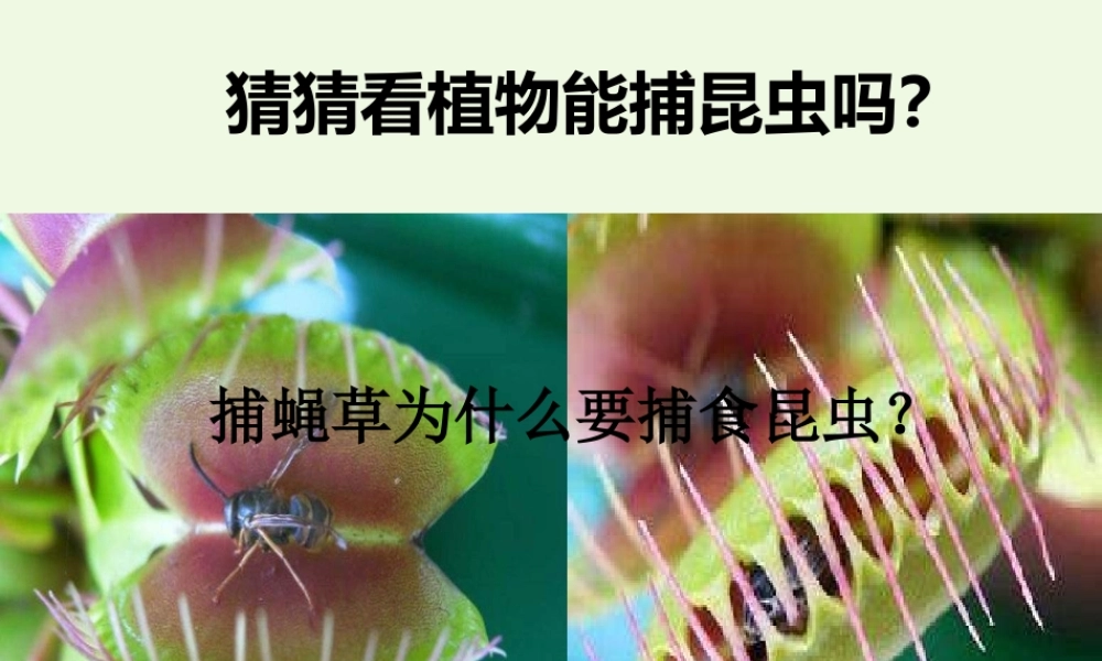 六年级科学上册 4.6 原来是相关联的课件1 教科版-教科版小学六年级上册自然科学课件