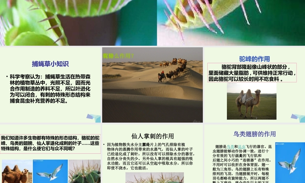 六年级科学上册 4.6 原来是相关联的课件1 教科版-教科版小学六年级上册自然科学课件