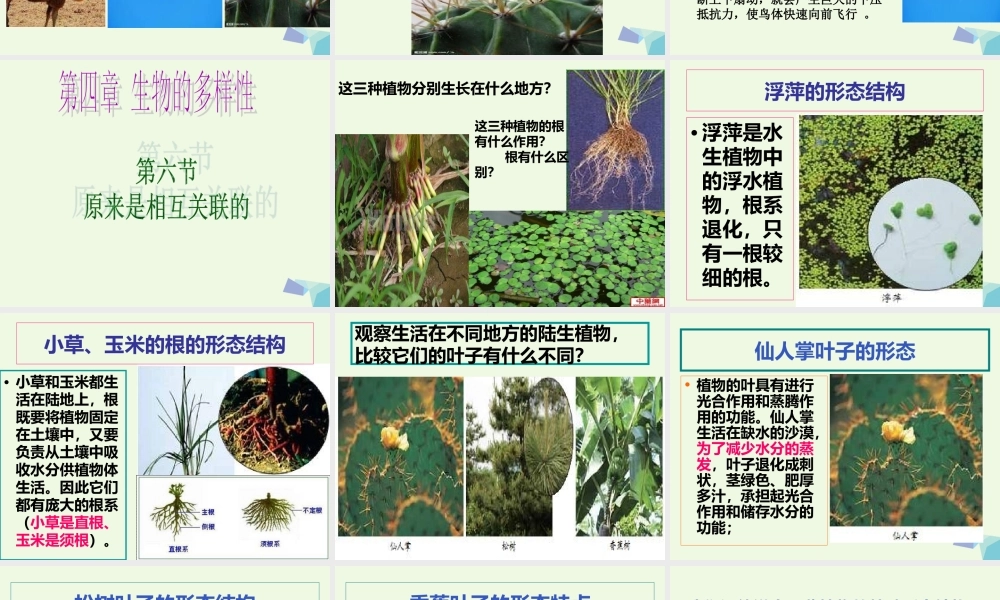 六年级科学上册 4.6 原来是相关联的课件1 教科版-教科版小学六年级上册自然科学课件