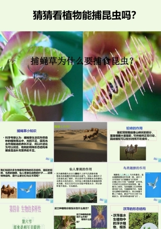 六年级科学上册 4.6 原来是相关联的课件1 教科版-教科版小学六年级上册自然科学课件