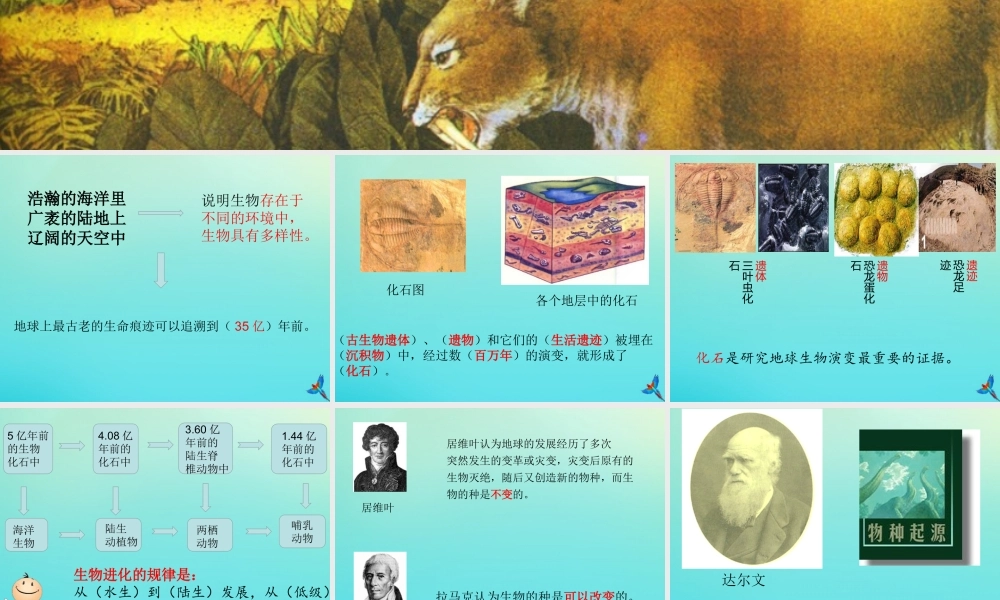 六年级科学下册 第1单元 生物的进化 1.1 生命的历程课件1 （新版）湘科版-人教版小学六年级下册自然科学课件