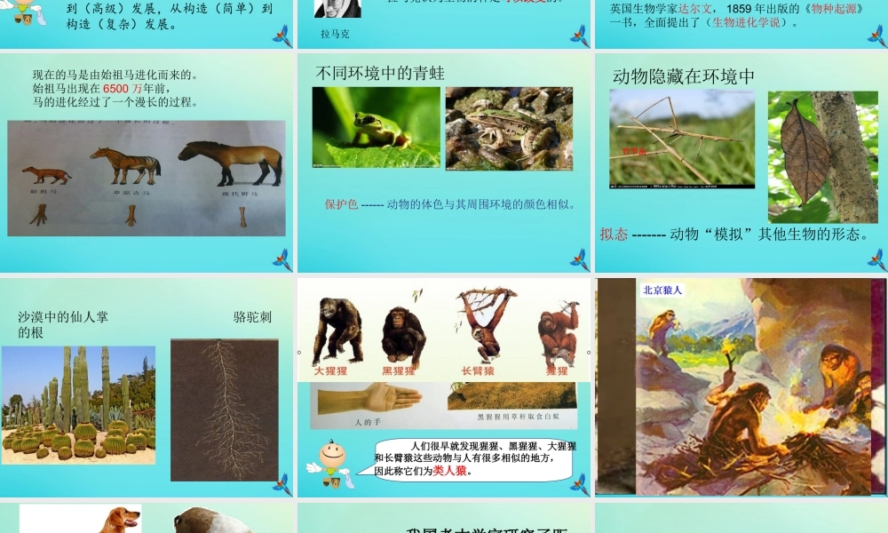 六年级科学下册 第1单元 生物的进化 1.1 生命的历程课件1 （新版）湘科版-人教版小学六年级下册自然科学课件