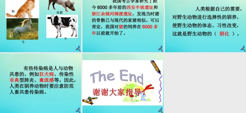 六年级科学下册 第1单元 生物的进化 1.1 生命的历程课件1 （新版）湘科版-人教版小学六年级下册自然科学课件