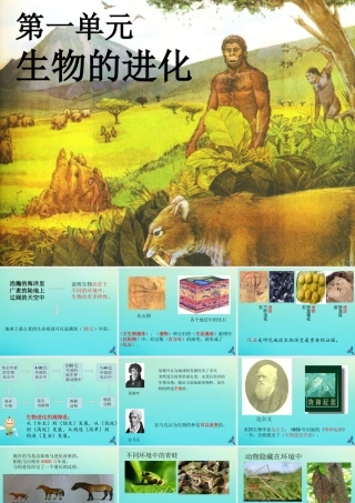 六年级科学下册 第1单元 生物的进化 1.1 生命的历程课件1 （新版）湘科版-人教版小学六年级下册自然科学课件