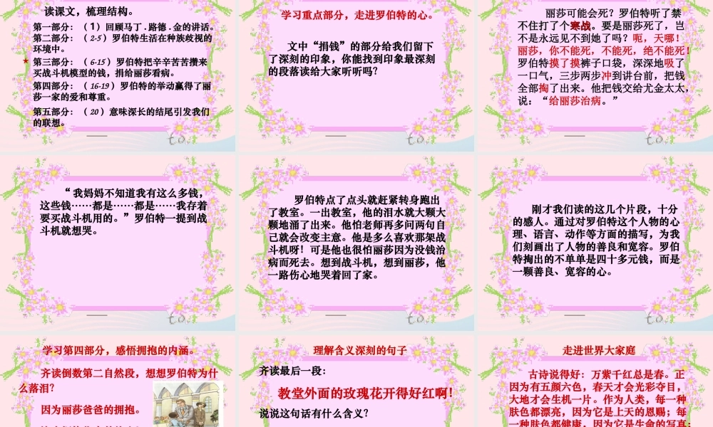 六年级语文上册 7.2《黑孩子罗伯特》课件 北师大版-北师大版小学六年级上册语文课件