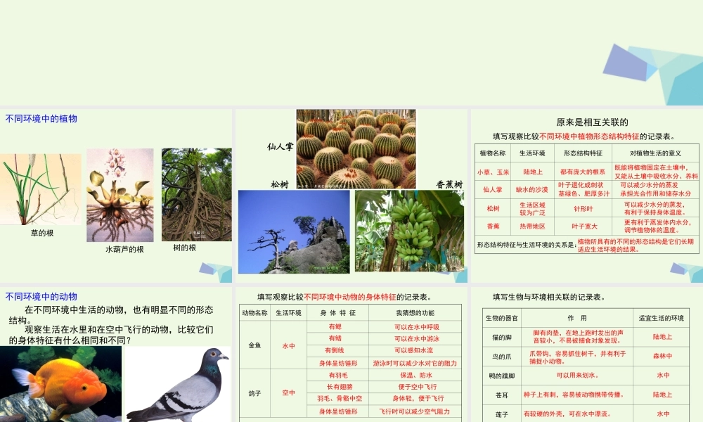 六年级科学上册 4.6 原来是相关联的课件2 教科版-教科版小学六年级上册自然科学课件