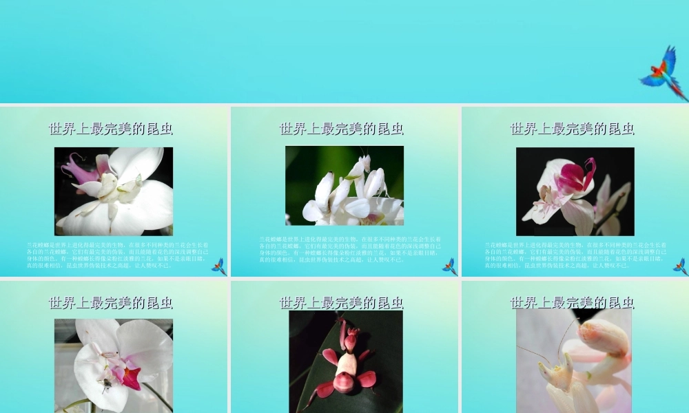 六年级科学下册 第1单元 生物的进化 1.1 生命的历程课件2 （新版）湘科版-人教版小学六年级下册自然科学课件