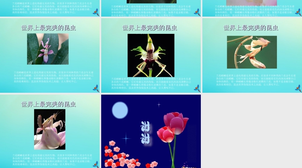 六年级科学下册 第1单元 生物的进化 1.1 生命的历程课件2 （新版）湘科版-人教版小学六年级下册自然科学课件