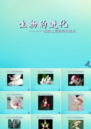 六年级科学下册 第1单元 生物的进化 1.1 生命的历程课件2 （新版）湘科版-人教版小学六年级下册自然科学课件