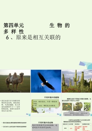 六年级科学上册 4.6 原来是相关联的课件4 教科版-教科版小学六年级上册自然科学课件