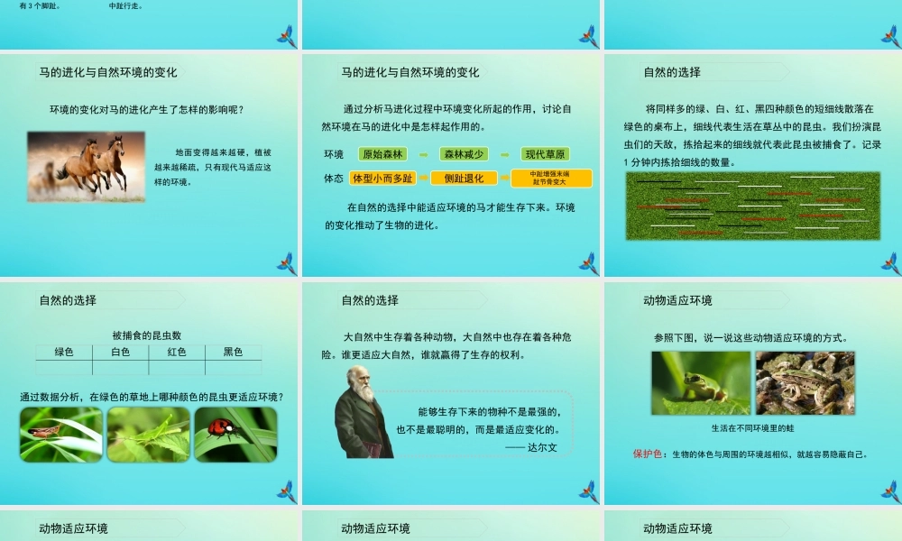 六年级科学下册 第1单元 生物的进化 1.2 物竞天择课件1 （新版）湘科版-人教版小学六年级下册自然科学课件