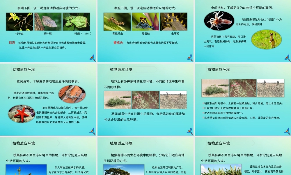 六年级科学下册 第1单元 生物的进化 1.2 物竞天择课件1 （新版）湘科版-人教版小学六年级下册自然科学课件