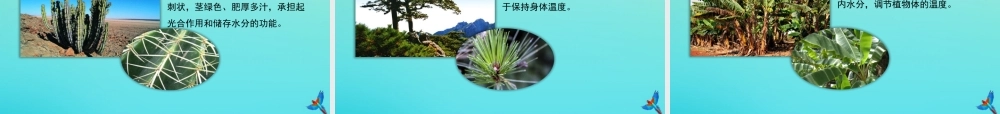 六年级科学下册 第1单元 生物的进化 1.2 物竞天择课件1 （新版）湘科版-人教版小学六年级下册自然科学课件