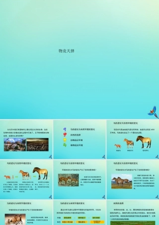 六年级科学下册 第1单元 生物的进化 1.2 物竞天择课件1 （新版）湘科版-人教版小学六年级下册自然科学课件