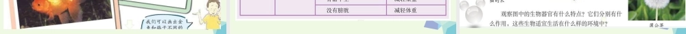 六年级科学上册 4.6 原来是相关联的课件5 教科版-教科版小学六年级上册自然科学课件