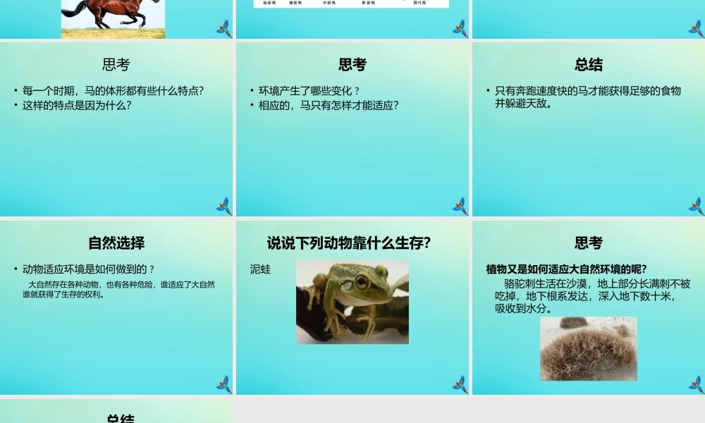 六年级科学下册 第1单元 生物的进化 1.2 物竞天择课件2 （新版）湘科版-人教版小学六年级下册自然科学课件