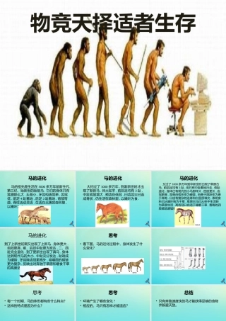 六年级科学下册 第1单元 生物的进化 1.2 物竞天择课件2 （新版）湘科版-人教版小学六年级下册自然科学课件
