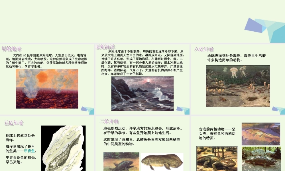 六年级科学上册 4.7 谁选择了它们课件 教科版-教科版小学六年级上册自然科学课件