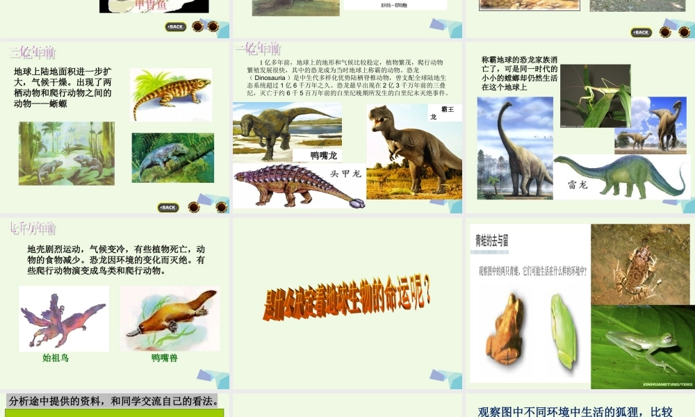 六年级科学上册 4.7 谁选择了它们课件 教科版-教科版小学六年级上册自然科学课件