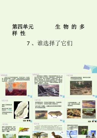 六年级科学上册 4.7 谁选择了它们课件 教科版-教科版小学六年级上册自然科学课件