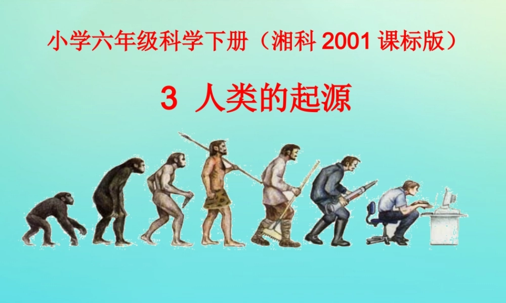 六年级科学下册 第1单元 生物的进化 1.3 人类的起源课件 （新版）湘科版-人教版小学六年级下册自然科学课件
