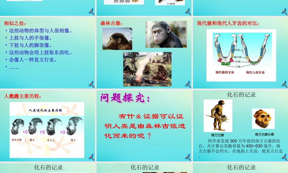 六年级科学下册 第1单元 生物的进化 1.3 人类的起源课件 （新版）湘科版-人教版小学六年级下册自然科学课件