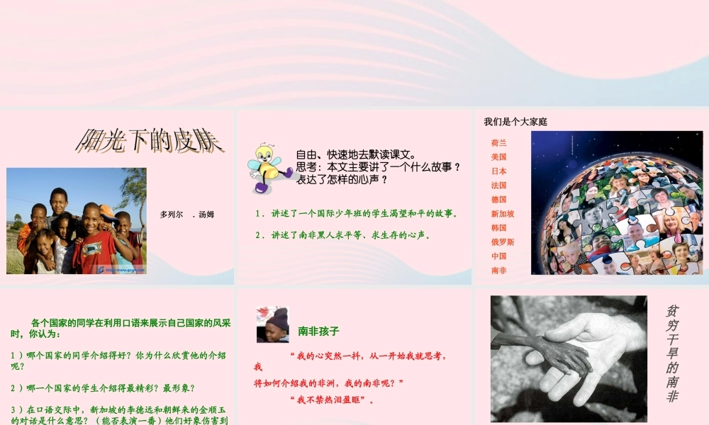 六年级语文上册 7.5 阳光皮肤课件 北师大版-北师大版小学六年级上册语文课件