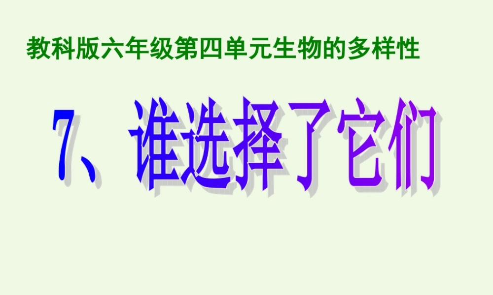 六年级科学上册 4.7 谁选择了它们课件1 教科版-教科版小学六年级上册自然科学课件