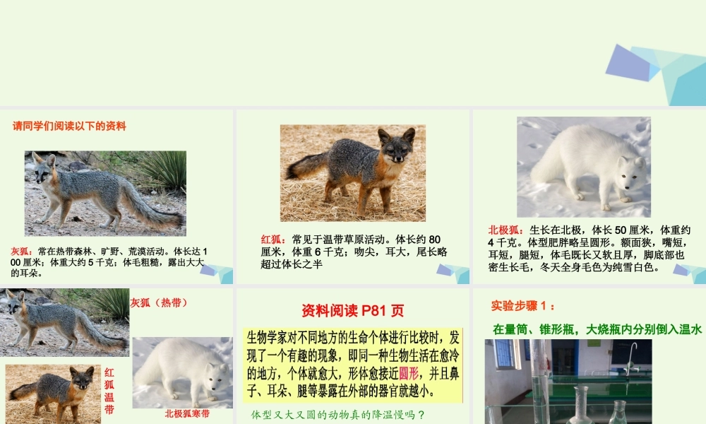 六年级科学上册 4.7 谁选择了它们课件1 教科版-教科版小学六年级上册自然科学课件