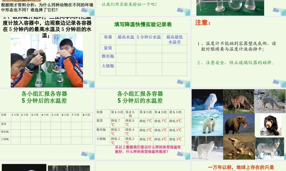 六年级科学上册 4.7 谁选择了它们课件1 教科版-教科版小学六年级上册自然科学课件