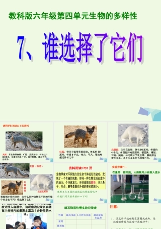 六年级科学上册 4.7 谁选择了它们课件1 教科版-教科版小学六年级上册自然科学课件