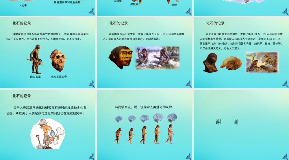 六年级科学下册 第1单元 生物的进化 1.3 人类的起源课件 （新版）湘科版-人教级下册自然科学课件