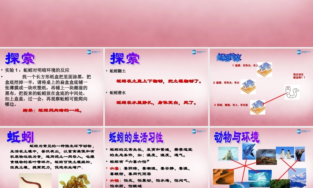 六年级科学上册 第5单元 20 蚯蚓找家课件1 青岛版