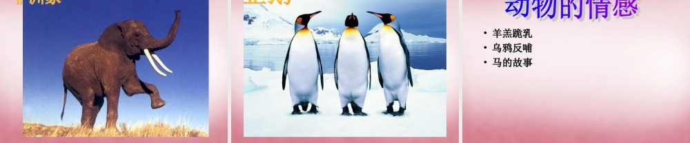 六年级科学上册 第5单元 20 蚯蚓找家课件1 青岛版