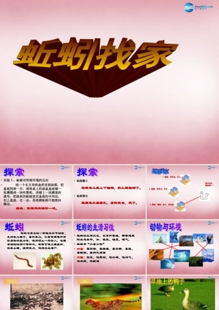 六年级科学上册 第5单元 20 蚯蚓找家课件1 青岛版