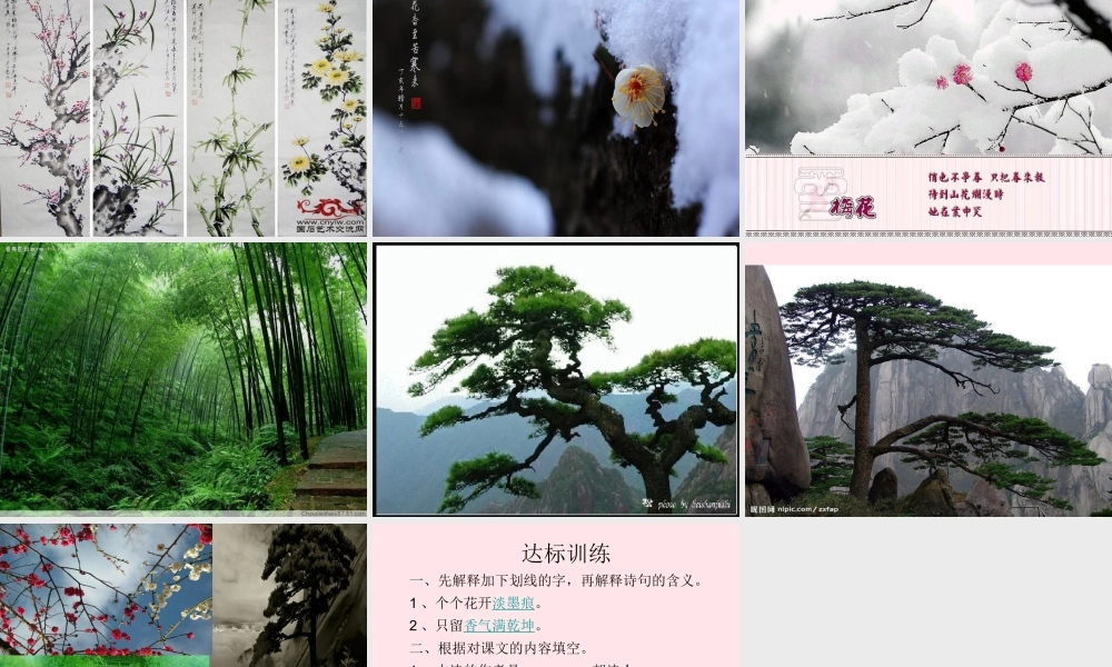 六年级语文上册 8.1 墨梅图题诗课件2 北师大版-北师大版小学六年级上册语文课件