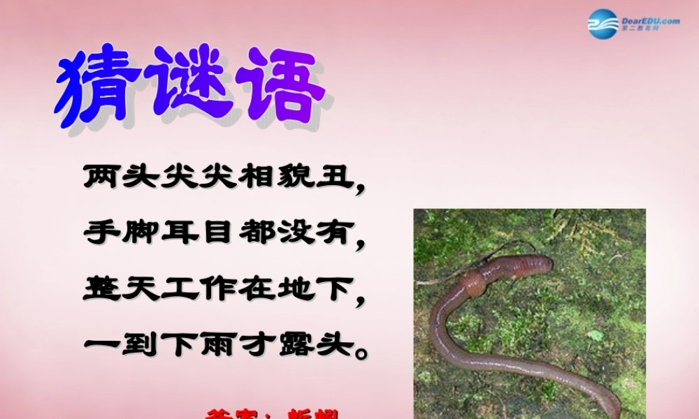 六年级科学上册 第5单元 20 蚯蚓找家课件2 青岛版