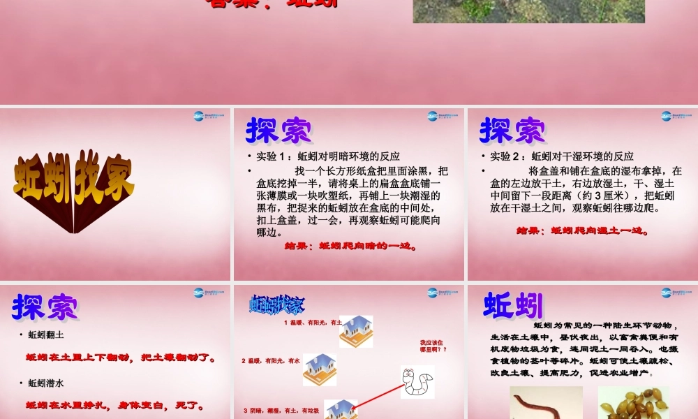 六年级科学上册 第5单元 20 蚯蚓找家课件2 青岛版