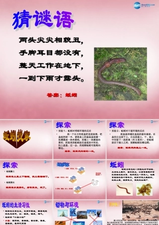 六年级科学上册 第5单元 20 蚯蚓找家课件2 青岛版