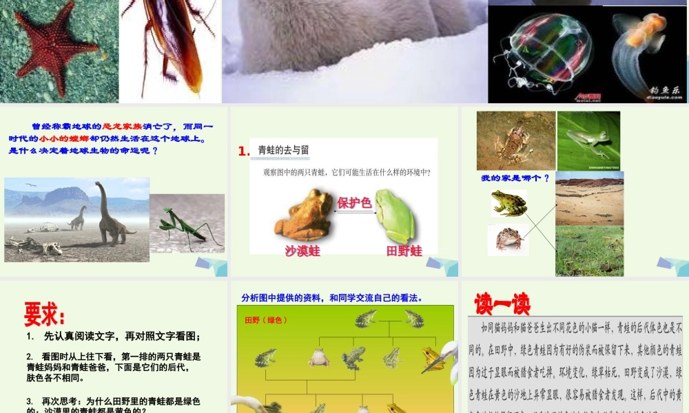 六年级科学上册 4.7 谁选择了它们课件2 教科版-教科版小学六年级上册自然科学课件