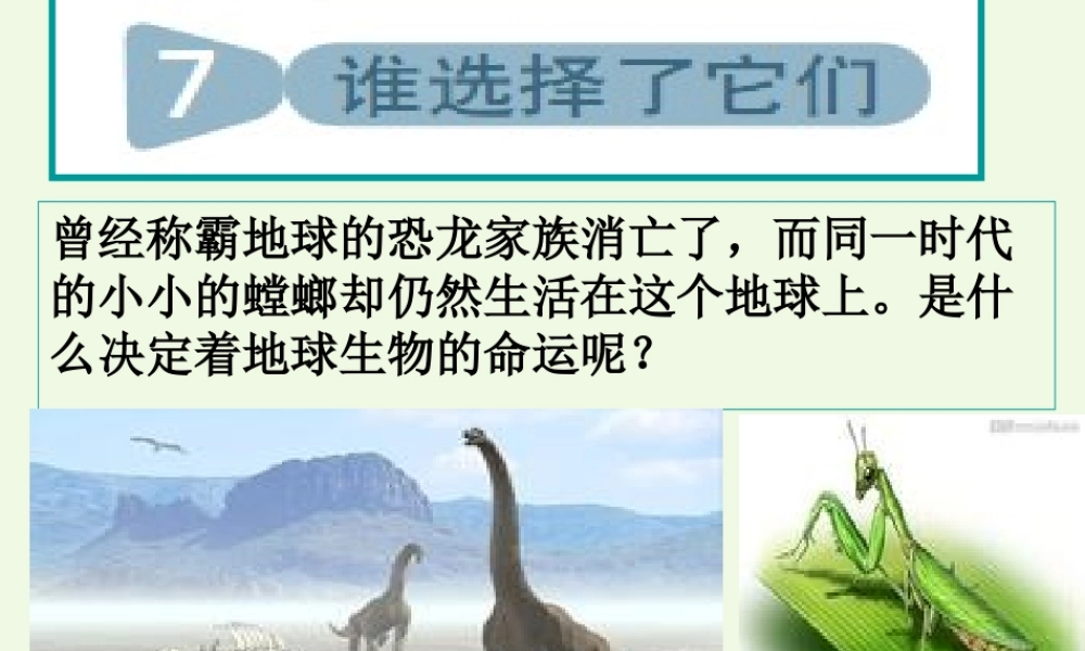 六年级科学上册 4.7 谁选择了它们课件3 教科版-教科版小学六年级上册自然科学课件