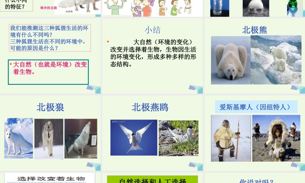 六年级科学上册 4.7 谁选择了它们课件3 教科版-教科版小学六年级上册自然科学课件