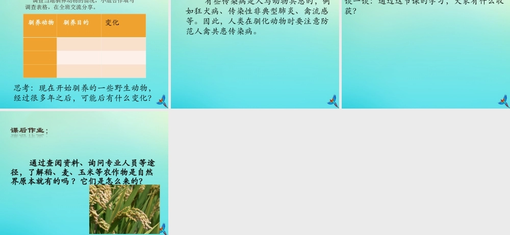 六年级科学下册 第1单元 生物的进化 1.4 动物的驯化课件 （新版）湘科版-人教版小学六年级下册自然科学课件